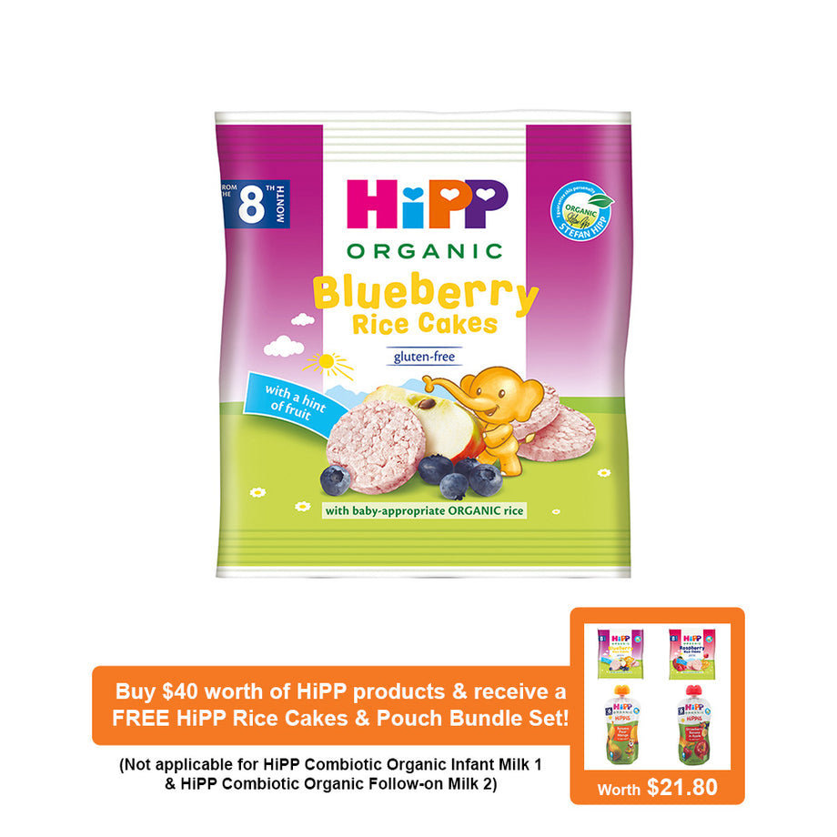 Organic Blueberry Rice Cakes, 30gm – SuperNature